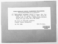 Image Associated With the Occurence